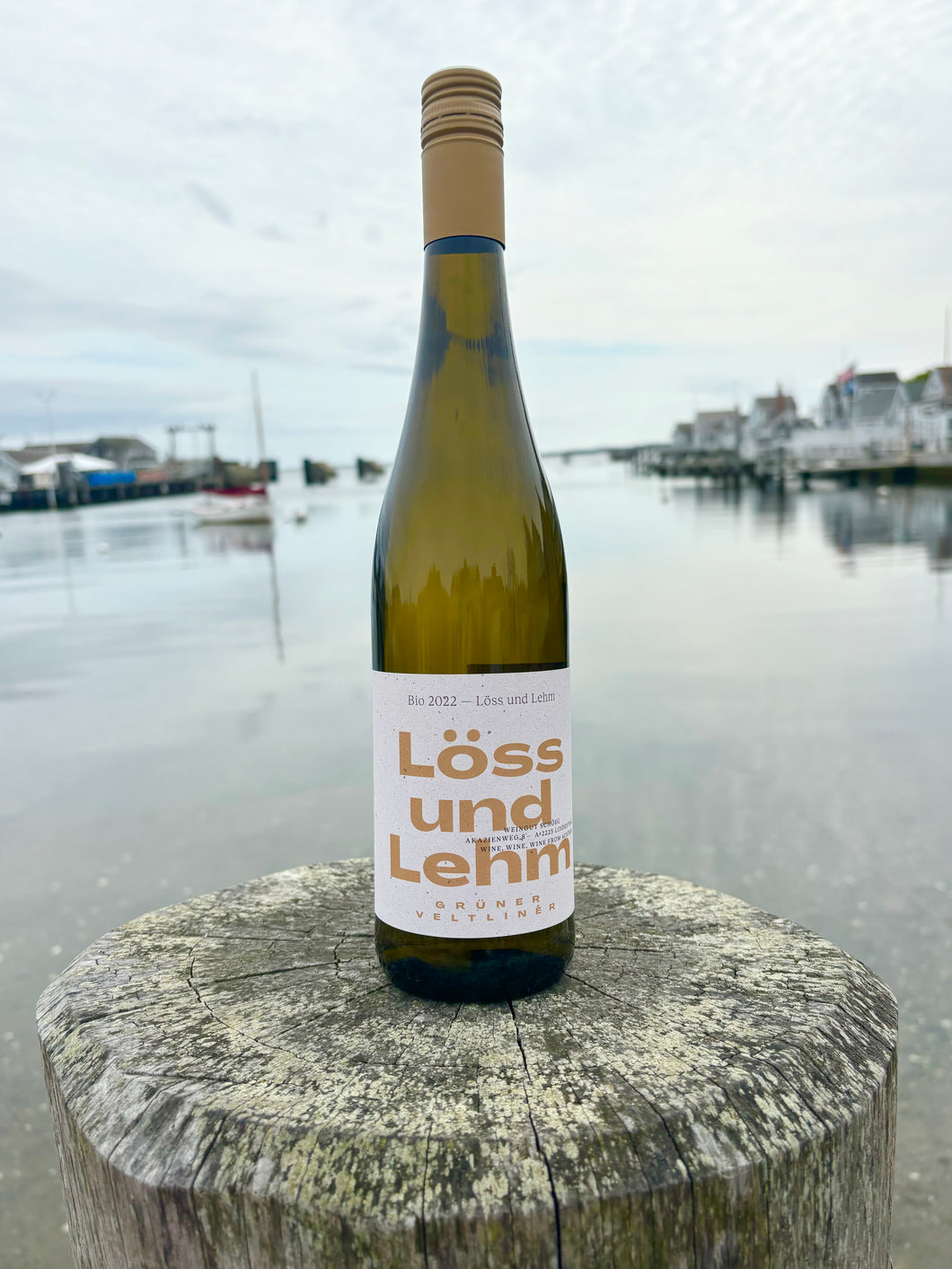 Schodl Löss und Lehm Gruner Veltliner