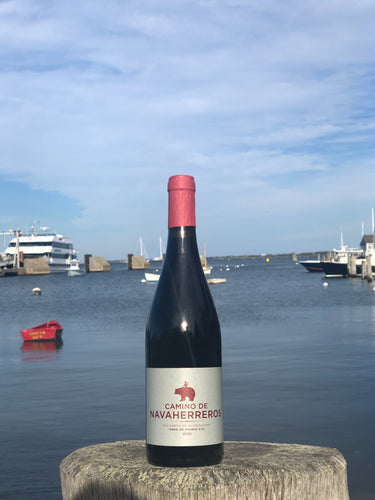 Vinos di Madrid