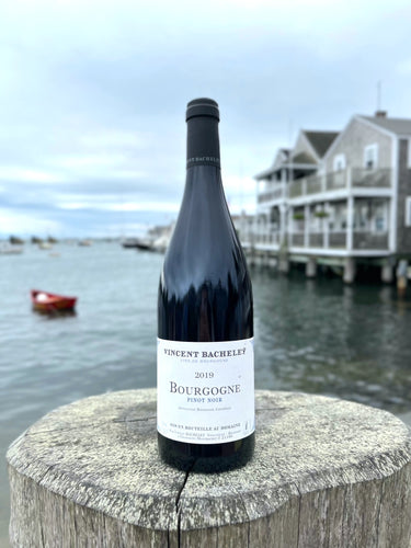 Domaine Vincent Bachelet Bourgogne Rouge 2019