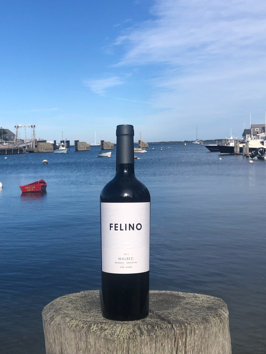 Felino Malbec 2021