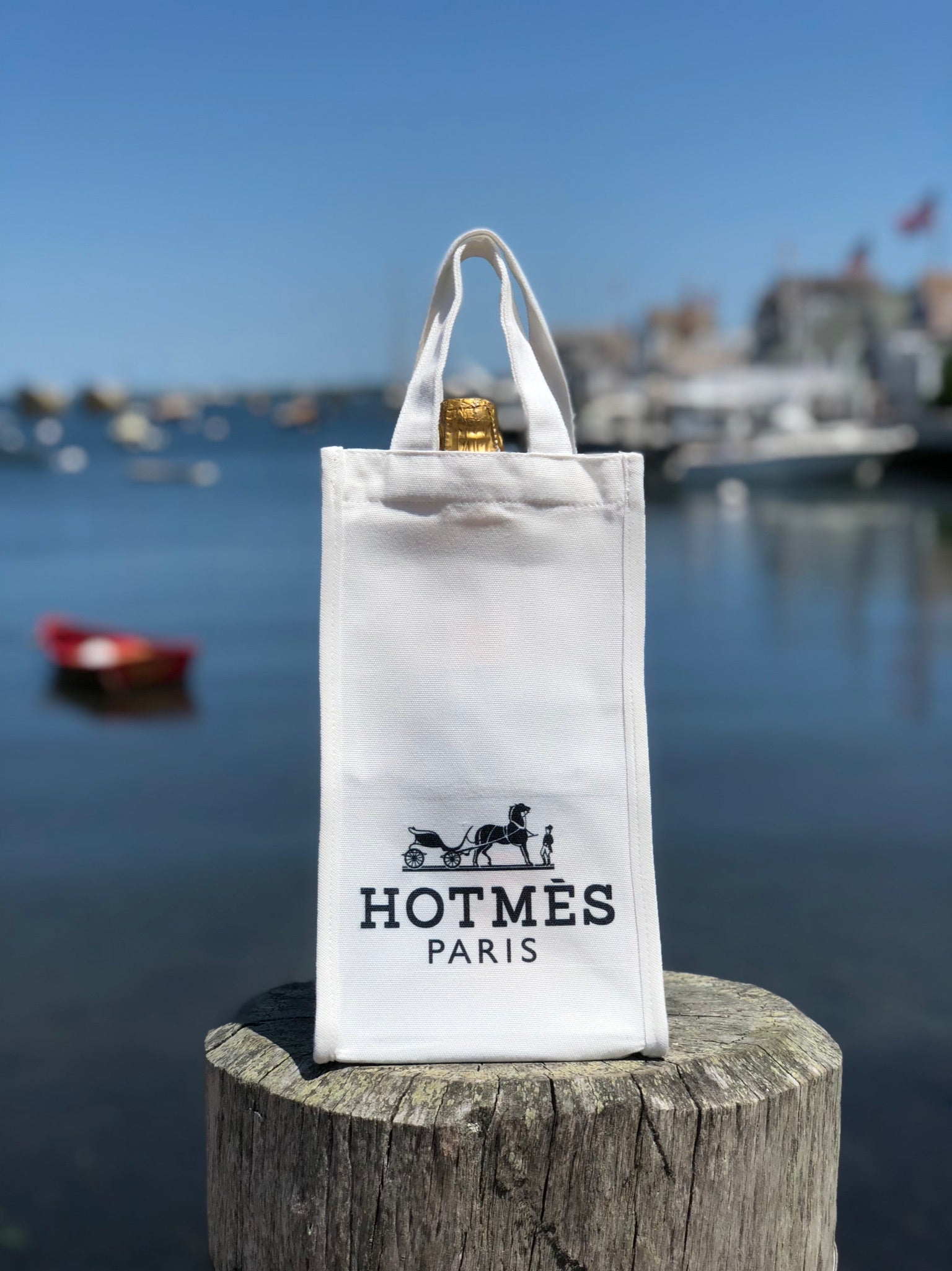 Hotmes Wine Gift Bag – Current Vintage