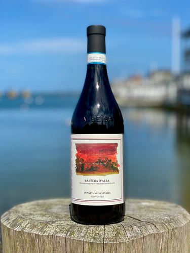 Punset Barbera d'Alba 2020